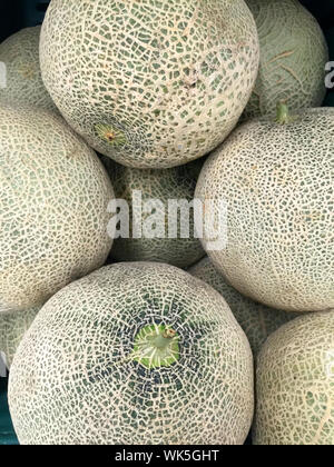 Close-up Of Muskmelons