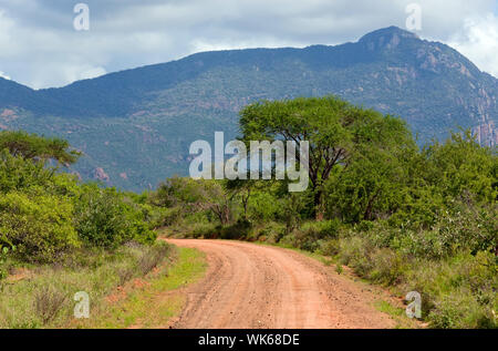 Red ground road and bush with savanna landscape in Africa. Tsavo West, Kenya. Stock Photo