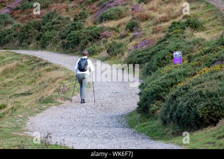 Hiker walking up Offa's Dyke Path towards Moel Famau the highest peak in the Clwydian Range bordering Flintshire and Denbighshire in Wales, UK Stock Photo