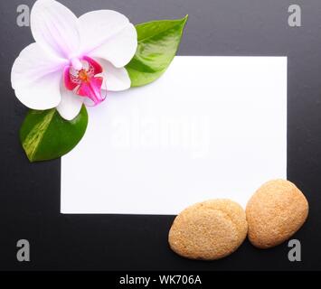 zen or spa stones with blank and empty copyspace paper Stock Photo