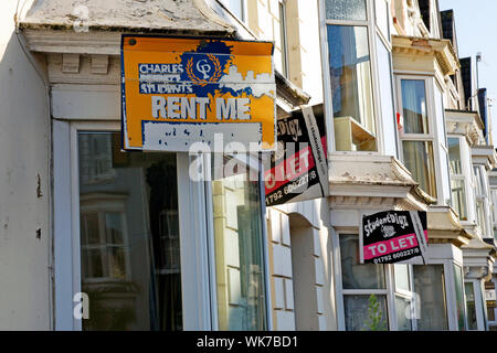Student letting signs on the front of terraced houses Stock Photo