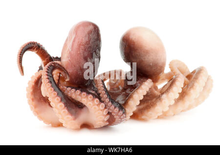 Two Gourmet Smoked Octopuses Full Body isolated on white background Stock Photo