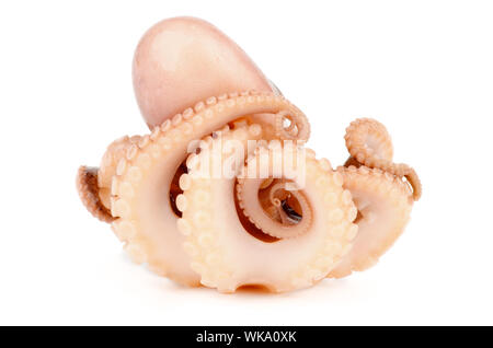 Little Smoked Octopus Full Body isolated on white background Stock Photo