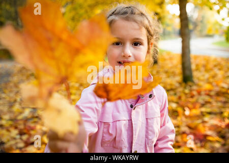 Cute little girl with missing teeth playing with yellow fallen leaves in autumn forest, trowing into the air. Happy child laughing and smiling. Sunny Stock Photo