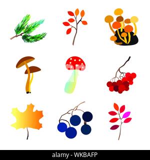 Autumn vector set with leaves andmushrooms. Seasonal fall collection. Stock Vector