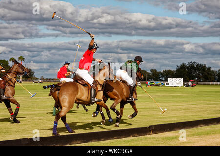 polo match; horses; players; 2 teams; fast pace; action; movement; sport; competition; skill, grassy field, Sarasota Polo Club; Lakewood Ranch; FL; Fl Stock Photo