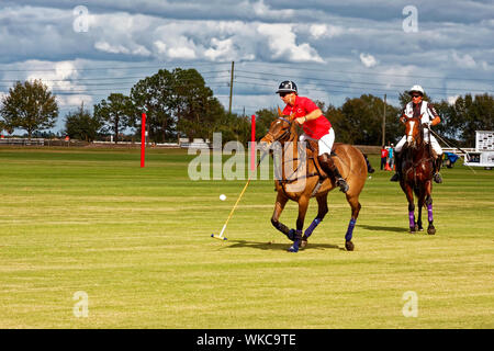 polo player hitting moving ball; umpire; motion; fast sport; horse; men; mallet, grassy field; skill; competition; Sarasota Polo Club; Lakewood Ranch; Stock Photo