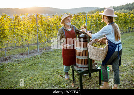 Senior man and young woman as winemakers squeezing grapes with press machine on the vineyard, getting fresh juice for wine production Stock Photo