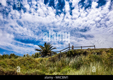 Uruguay: Uruguay, La Floresta, small city and resort on the Costa de Oro (Golden Coast). Overhanging the beach, a woman is looking at the landscape/vi Stock Photo