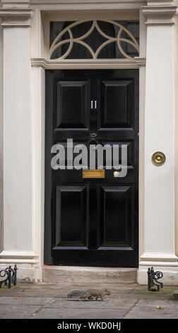 Downing Street, London, UK. 4th September 2019. A grey squirrel legs it across the doorstep of 11 Downing Street before Chancellor of the Exchequer Sajid Javid leaves No 11 to attend Parliament where he will present his spending plans. Credit: Malcolm Park/Alamy Live News. Stock Photo