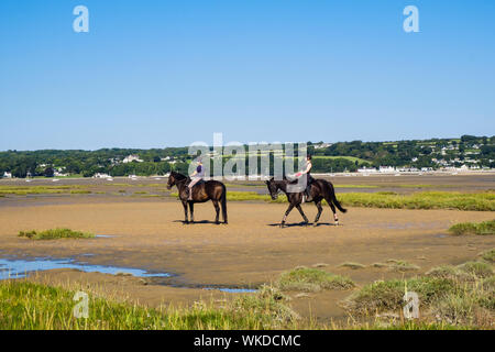 Two women riding exercising horses on beach saltings at low tide in summer. Red Wharf Bay, Isle of Anglesey, Wales, UK, Britain Stock Photo