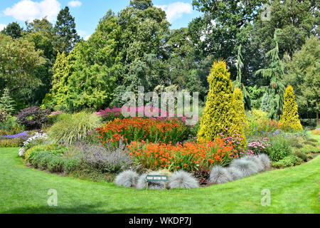 Diss Norfolk East Anglia summer view Alan Bloom formal English country flower garden set in lawns with plants trees & conifers Bressingham England UK Stock Photo