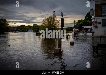 Richmond upon Thames, England UK. 2 Sept 2019 Flooded footpath as River Thames reaches high water. Stock Photo