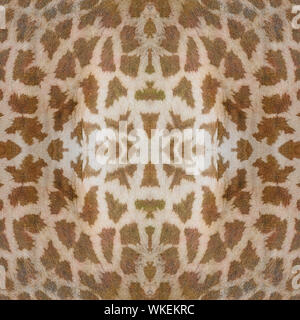 Beautiful background pattern made from Giraffe skin Stock Photo