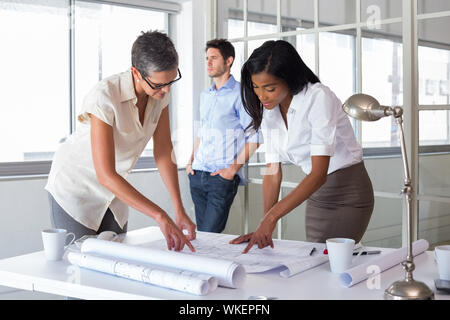 Architects working hard on plans in the office Stock Photo