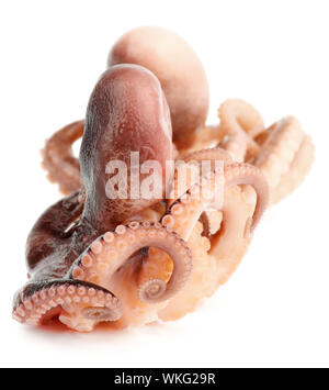 Two Gourmet Smoked Octopuses Full Body In a Row isolated on white background Stock Photo