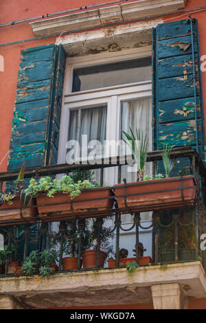 view of window with shutters and decoration plants in pots Stock Photo