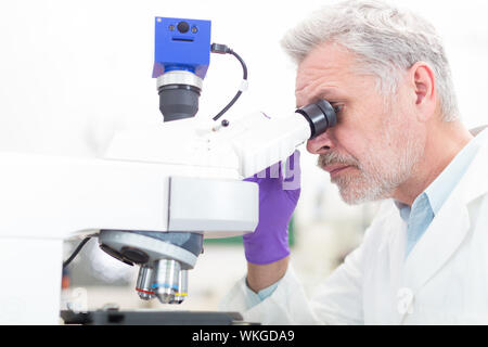 Senior scientist  microscoping in lab. Stock Photo