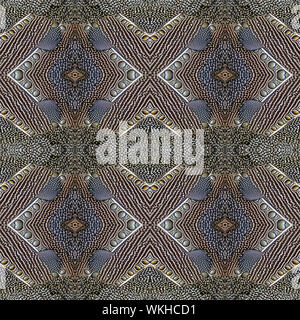 Colorful seamless pattern made from Great argus feathers Stock Photo