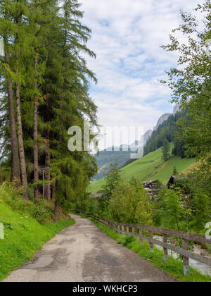 Cycle and hiking trail near Val di Gardena in Alto Adige, South Tyrol, beside river. Vertical composition. In the Dolomites. Stock Photo