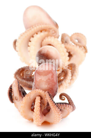 Three Gourmet Smoked Octopuses Full Body In a Row isolated on white background Stock Photo