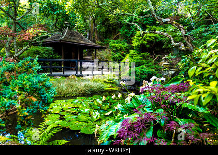 Pagoda and pond at The Japanese Garden in St Mawgan, Cornwall, UK Stock Photo