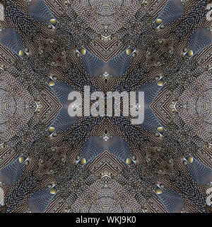 Seamless pattern made from Great argus feathers texture background Stock Photo