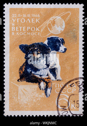 Soviet Union Postage Stamp - Dogs (Canis lupus familiaris) Ugolok and Weterok Stock Photo