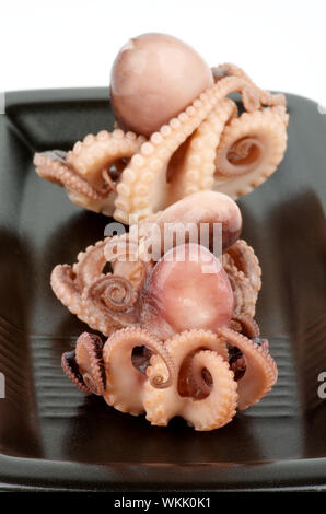 Gourmet Smoked Octopuses Full Body In a Row isolated on Black Plate Stock Photo