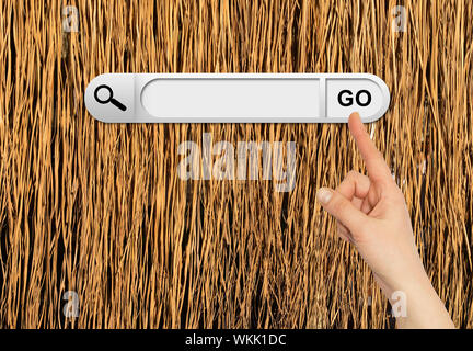 Human hand indicates the search bar in browser. Yellow dry grass surface on background Stock Photo