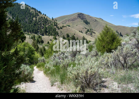 Dirt hiking trail leads to Goldbug Hot Springs (Elk Bend) in the Sawtooth Mountains in Idaho. Stock Photo