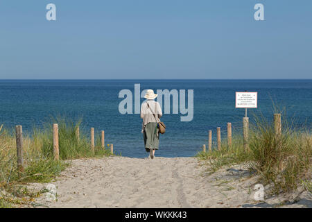 entrance to the beach, Graal-Müritz, Mecklenburg-West Pomerania, Germany Stock Photo