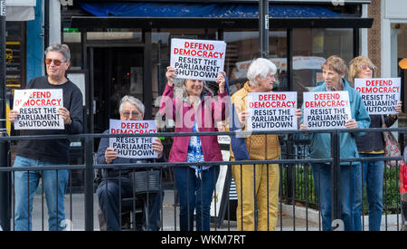 Brentwood, Essex, UK. 4th September 2019 Mini 'Defend democracy' protest in the High Street of Brentwood, Essex, UK. Credit: Ian Davidson/Alamy Live News