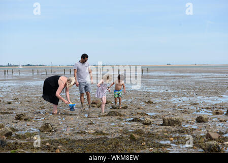 CUDMORE GROVE, ESSEX/ENGLAND - 1ST JUNE 2019 - Man and Boy and woman playing in the mud at the seaside coast of the North Sea at Cudmore Grove on Mers Stock Photo