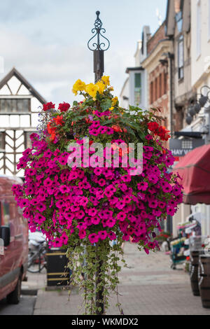 Floral hanging basket in Ledbury town centre. Ledbury, Herefordshire, England Stock Photo