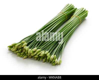 flowering garlic chives isolated on white background Stock Photo