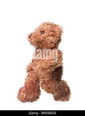 Walking teddy bear isolated on white background Stock Photo