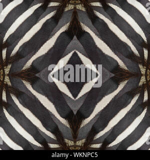 Seamless pattern made from Common Zebra or Burchell's Zebra (Equus burchelli) skin Stock Photo