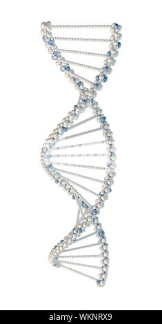 High resolution 3d render of human dna string Stock Photo