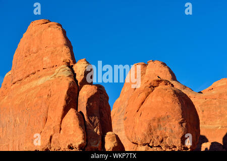 Sandstone fins near the Fiery Furnace, Arches National Park, Utah, USA Stock Photo