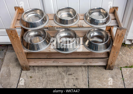 6 stainless steel dog water bowls on shelves outside pub in England Stock Photo