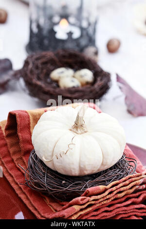 Beautiful table set with white pumpkins and natural items ready for an autumn meal. Stock Photo
