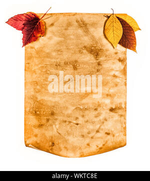 Old paper with autumn leaves on white background isolated Stock Photo