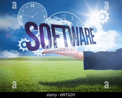 Businesswomans hand presenting the word software against sunny green landscape Stock Photo