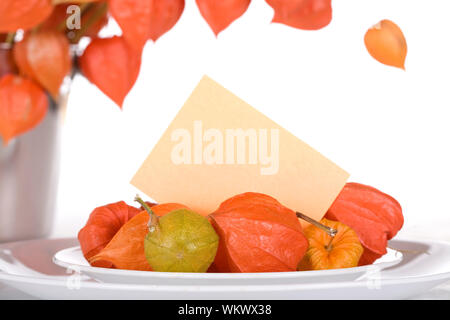 Japanese lantern flowers on plate with blank name card as table decorations Stock Photo