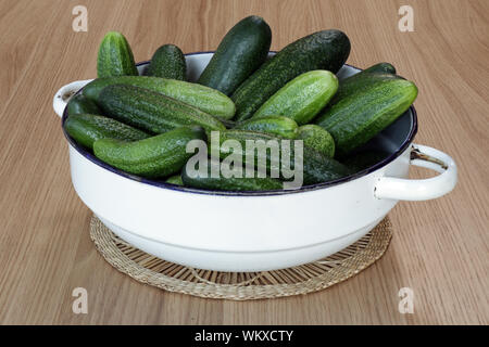 freshly harvested cucumbers in white enameled dish on a wooden table Stock Photo