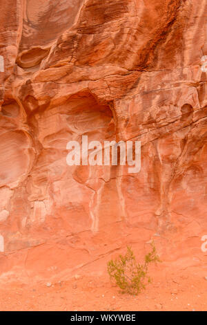 Weathered red rock formations in Atlatl Rock campground, Valley of Fire State Park, Nevada, USA Stock Photo