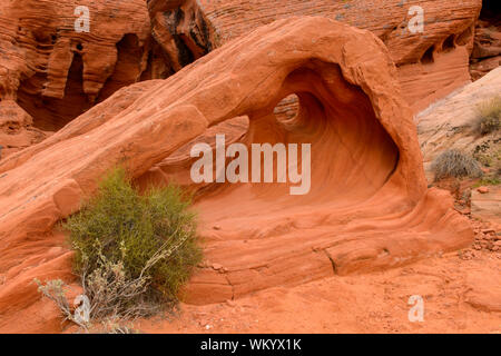 Weathered red rock formations in Atlatl Rock campground, Valley of Fire State Park, Nevada, USA Stock Photo