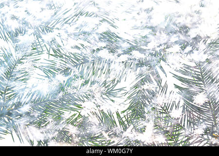 Creative Christmas composition made of green fir tree branches with snowflakes on white snow background. Stock Photo