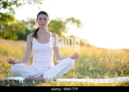 Young Beautiful Woman Practices Yoga on the Sunny Meadow Stock Photo
